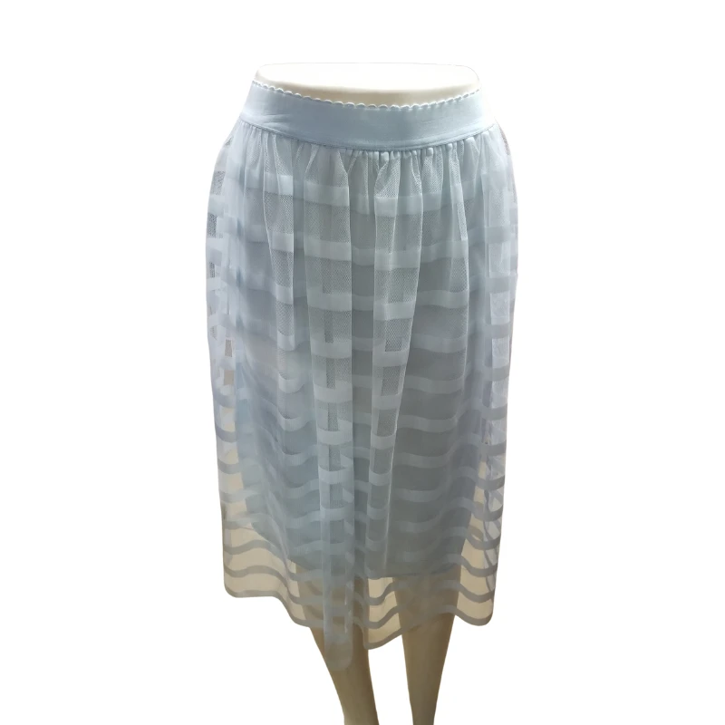 Light Blue Mesh Midi Skirt